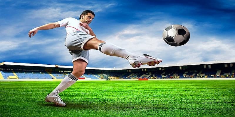 Các yếu tố ảnh hưởng đến tỷ lệ cá cược bóng đá nhà cái