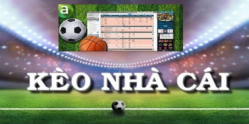 Cách đọc tỷ lệ cá cược bóng đá hiệu quả