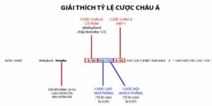 Hướng dẫn chi tiết Cách đọc tỷ lệ kèo cho từng loại kèo