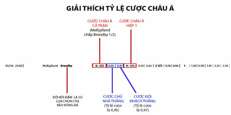 Hướng dẫn chi tiết Cách đọc tỷ lệ kèo cho từng loại kèo