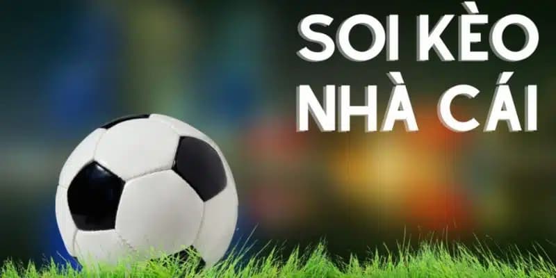 Những lưu ý khi chơi kèo nhà cái bóng đá để tăng tỷ lệ thắng