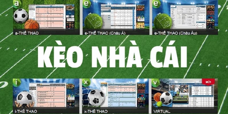 Những lưu ý quan trọng để chơi cá cược an toàn và hiệu quả