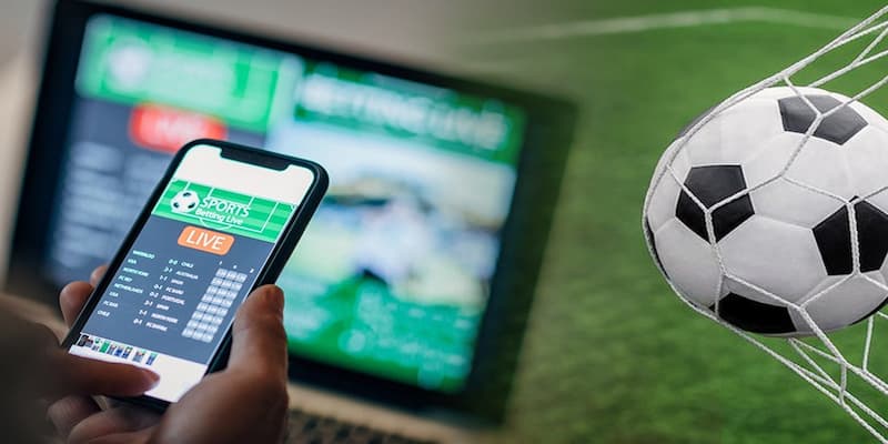 Rủi ro khi không hiểu rõ tỷ lệ cá cược bóng đá