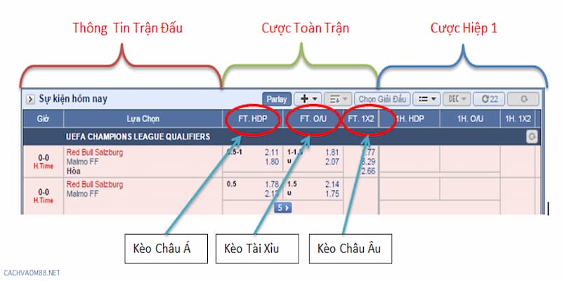 Sai lầm phổ biến khi đọc tỷ lệ cá cược