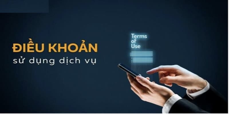 Tại sao Điều kiện điều khoản là then chốt?