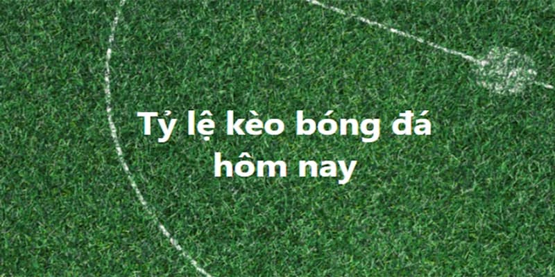 Tại sao tỷ lệ kèo nhà cái hôm nay lại quan trọng với người chơi?