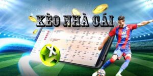 Tìm hiểu cơ bản về kèo nhà cái bóng đá và tỷ lệ cá cược