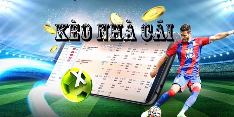 Tìm hiểu cơ bản về kèo nhà cái bóng đá và tỷ lệ cá cược