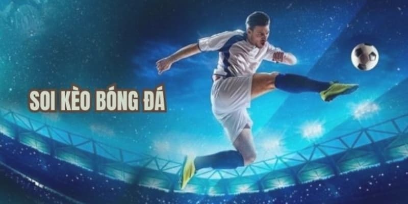 Tỷ lệ cá cược – Mối liên hệ mật thiết với trực tiếp kèo nhà cái