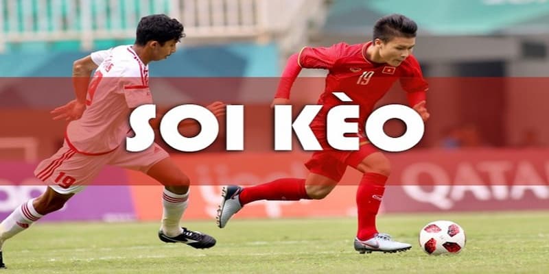 Tỷ lệ cá cược và vai trò trong soi kèo bóng đá
