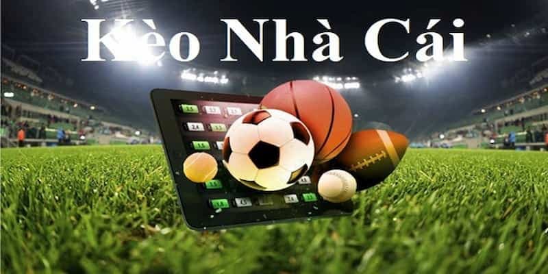 Ứng dụng công nghệ trong theo dõi tỷ lệ kèo nhà cái hôm nay