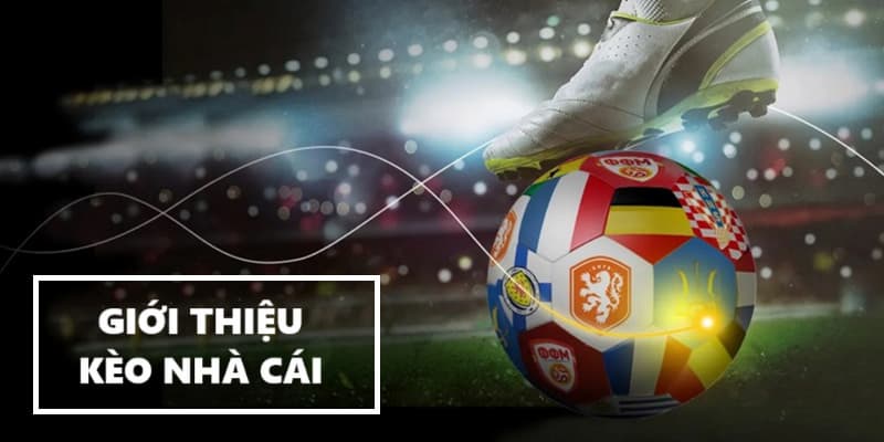 Ứng dụng thực tế của trực tiếp kèo nhà cái trong cá cược