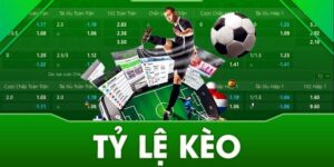 Vai trò của tỷ lệ cá cược bóng đá Ý trong soi kèo chuyên nghiệp